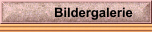 Bildergalerie 