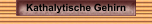 Kathalytische Gehirn